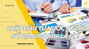 Luật đầu tư nước ngoài số 61/2020/QH14 là gì ?