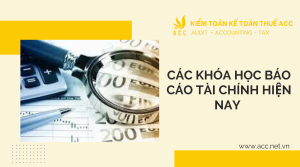 Các khóa học báo cáo tài chính hiện nay 