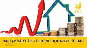 Bài tập báo cáo tài chính hợp nhất có đáp