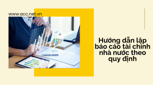 Hướng dẫn lập báo cáo tài chính nhà nước theo quy định