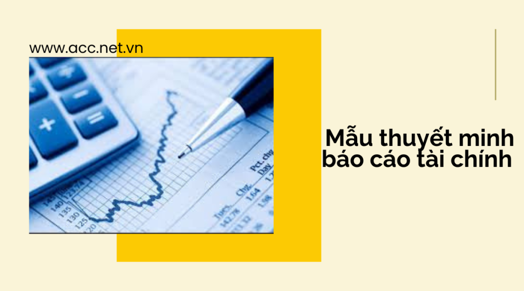 Mẫu thuyết minh báo cáo tài chính 