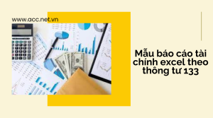 Mẫu báo cáo tài chính excel theo thông tư 133