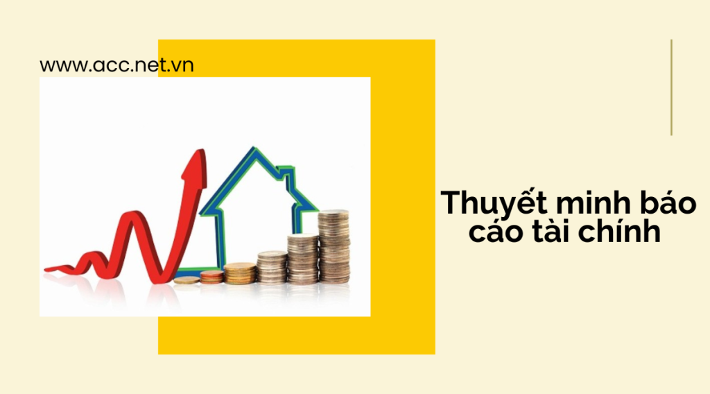 Thuyết minh báo cáo tài chính 