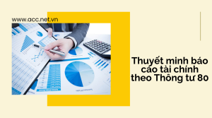 Mẫu thuyết minh báo cáo tài chính theo Thông tư 80