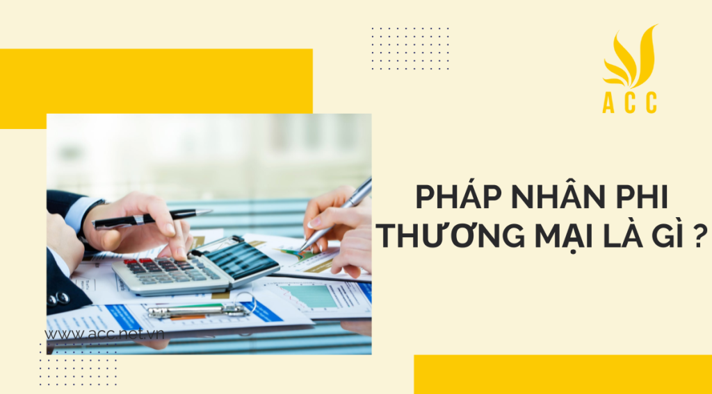 Pháp nhân phi thương mại là gì ?