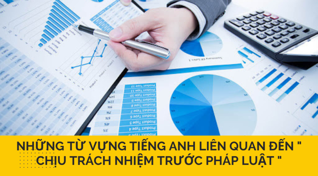 Những từ vựng tiếng anh liên quan đến " chịu trách nhiệm trước pháp luật "