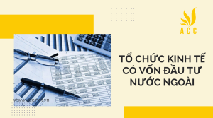 Tổ chức kinh tế có vốn đầu tư nước ngoài