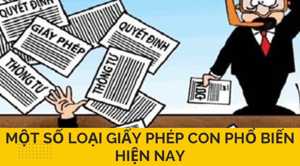 Một số loại giấy phép con phổ biến hiện nay