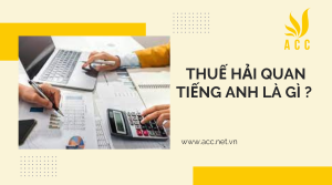 Thuế hải quan tiếng anh là gì ?