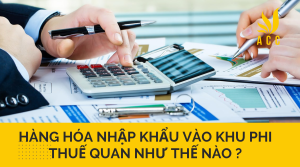 Hàng hóa nhập khẩu vào khu phi thuế quan như thế nào ?