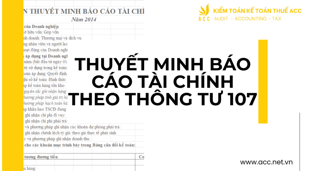 Thuyết minh báo cáo tài chính theo thông tư 107