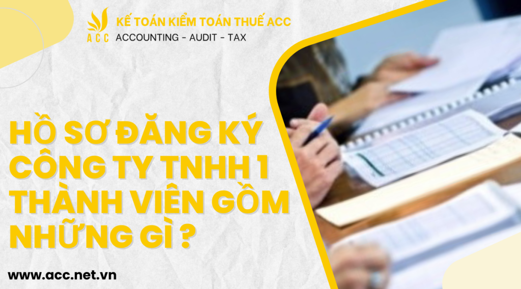 Hồ sơ đăng ký công ty TNHH 1 thành viên gồm những gì ?