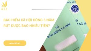 Bảo hiểm xã hội đóng 5 năm rút được bao nhiêu tiền