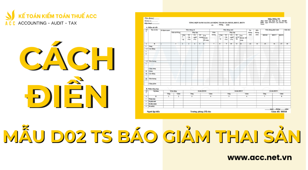 Cách điền mẫu d02 ts báo giảm thai sản