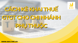 Cách kê khai thuế gtgt cho chi nhánh phụ thuộc