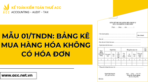 Mẫu 01TNDN Bảng kê mua hàng hóa không có hóa đơn