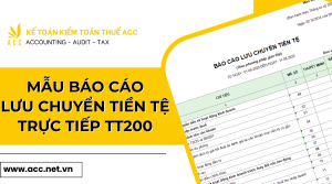 Mẫu báo cáo lưu chuyển tiền tệ trực tiếp tt200