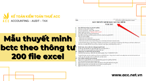 Mẫu thuyết minh bctc theo thông tư 200 file excel