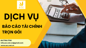 Dịch vụ báo cáo tài chính tại Bạc Liêu