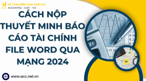 nộp thuyết minh báo cáo tài chính file word