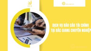 Dịch vụ báo cáo tài chính tại Bắc Giang chuyên nghiệp