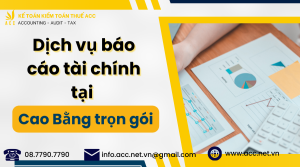 Dịch vụ báo cáo tài chính tại Cao Bằng