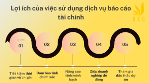 Dịch vụ báo cáo tài chính tại Điện Biên