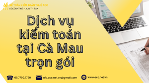 Dịch vụ kiểm toán tại Cà Mau