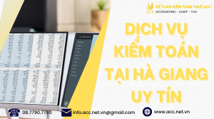 Dịch vụ kiểm toán tại Hà Giang 