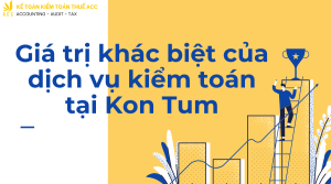 Dịch vụ kiểm toán tại Kon Tum