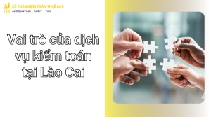 Dịch vụ kiểm toán tại Lào Cai