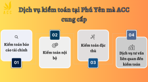 Dịch vụ kiểm toán tại Phú Yên