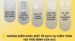 Dịch vụ kiểm toán tại Thái Bình