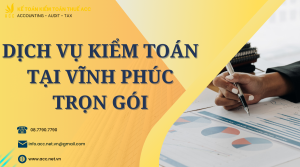 Dịch vụ làm kiểm toán tại Vĩnh Phúc