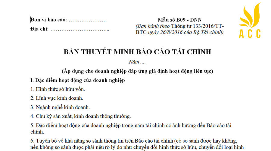 Mẫu bản thuyết minh báo cáo tài chính theo TT 133