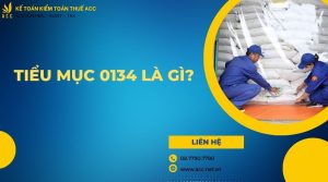 Tiểu mục 0134 là gì