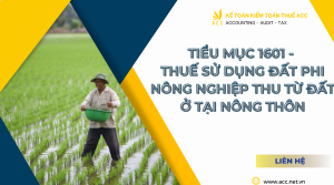 Tiểu mục 1601 là gì