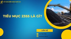 Tiểu mục 2355 là gì