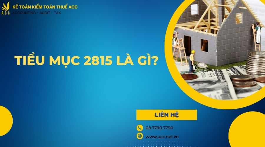 Tiểu mục 2815 là gì