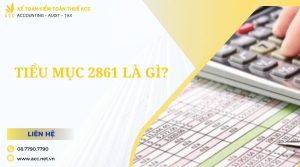 Tiểu mục 2861 là gì