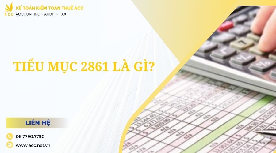 Tiểu mục 2861 là gì