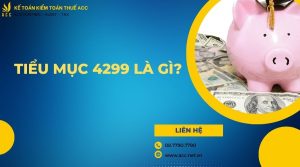 Tiểu mục 4299 là gì