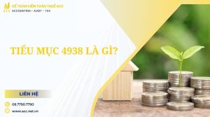 Tiểu mục 4938 là gì?