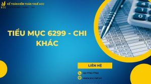 Tiểu mục 6299 - Chi khác