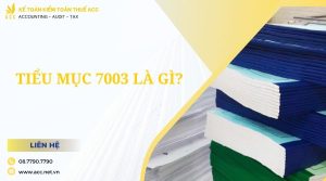 Tiểu mục 7003 là gì