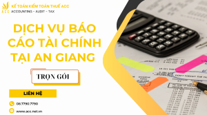 Dịch vụ báo cáo tài chính tại An Giang