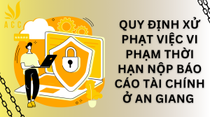 Dịch vụ báo cáo tài chính tại An Giang