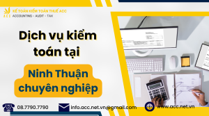 dịch vụ kiểm toán tại Ninh Thuận (2)