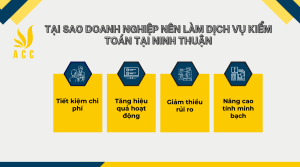 dịch vụ kiểm toán tại Ninh Thuận 