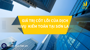 Giá trị cốt lõi của dịch vụ kiểm toán tại Sơn La